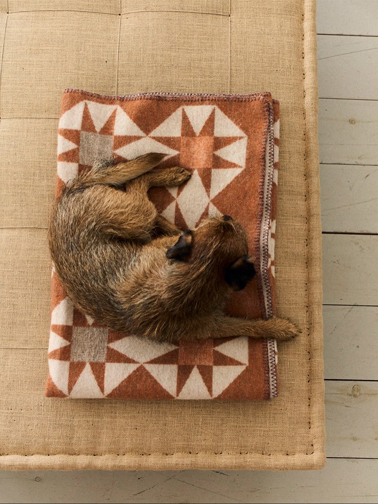 Instagram photo by puckhaberdecor