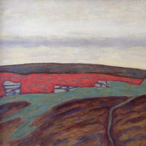 Pools and Rockpiles Dartmoor - Bryan Senior