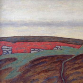 Pools and Rockpiles Dartmoor - Bryan Senior