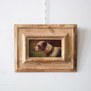French Dog Study