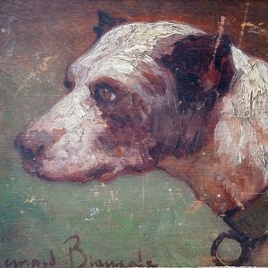 French Dog Study