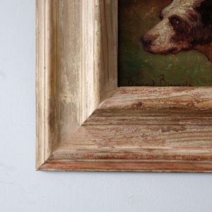 French Dog Study