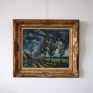 Atmospheric Belgian Landscape