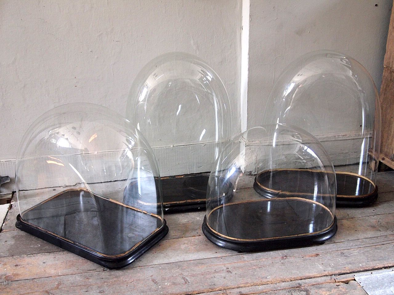 Unusualy Large Antique Display Domes › Puckhaber Decorative Antiques