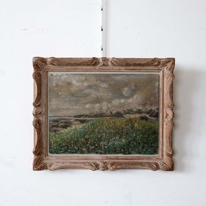 Wild Flower Meadow and Mountains