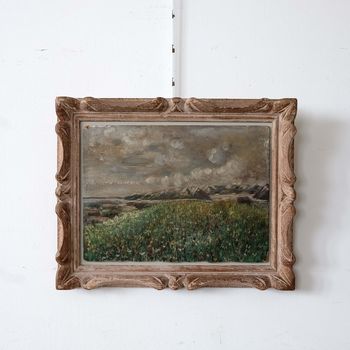 Wild Flower Meadow and Mountains