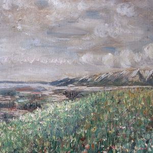 Wild Flower Meadow and Mountains