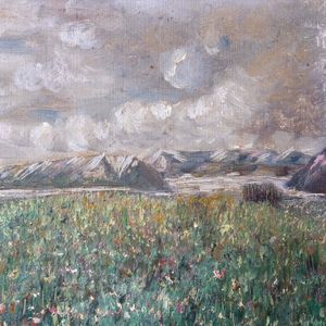 Wild Flower Meadow and Mountains