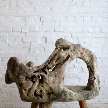 Sculptural Teak Root Bench