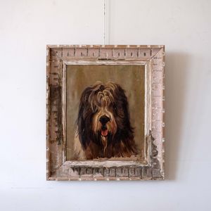 Study of Bearded Collie