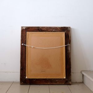 Study of Bearded Collie