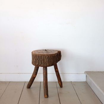Sculptural Tree Trunk Side Table