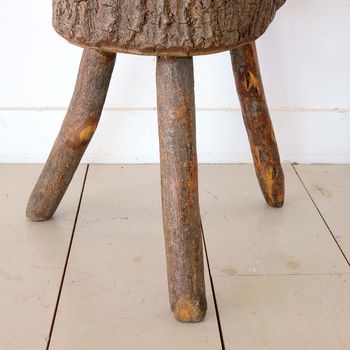 Sculptural Tree Trunk Side Table