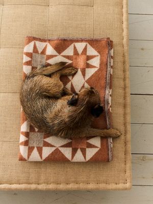 Rye Showroom Location Shoot - Toast Christmas Campaign 2025